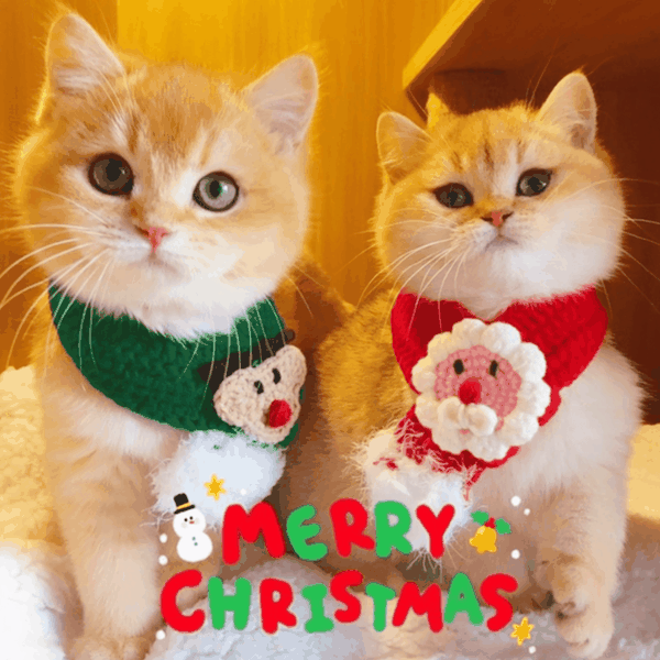Khăn Len Noel Santa Cho Chó Mèo