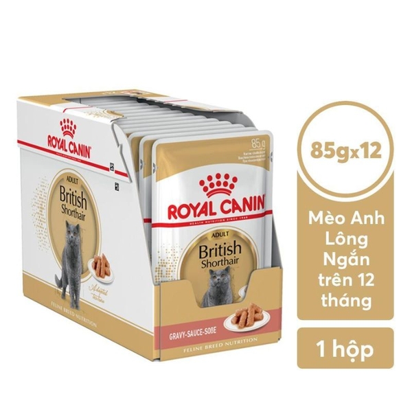 Pate Cho Mèo Anh Lông Ngắn Trưởng Thành Royal Canin British Shorthair (85g)