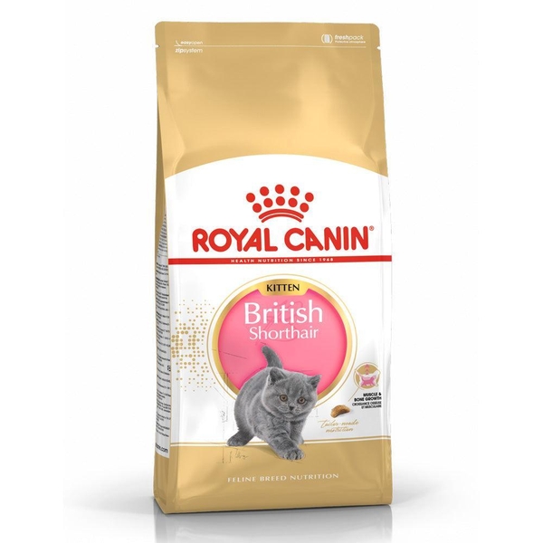 Hạt Cho Mèo Con Anh Lông Ngắn Royal Canin British Shorthair Kitten