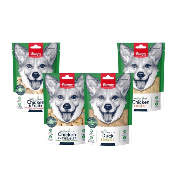 Thịt Sấy Cho Chó Wanpy (40G)