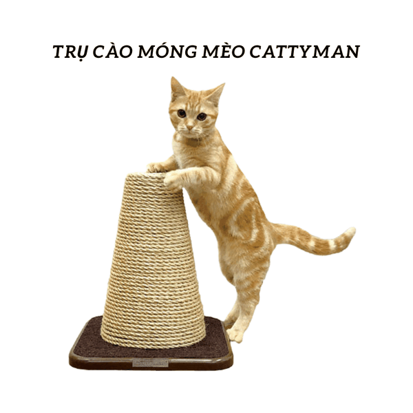 Trụ Cào Móng Mèo Cattyman Hình Tam Giác