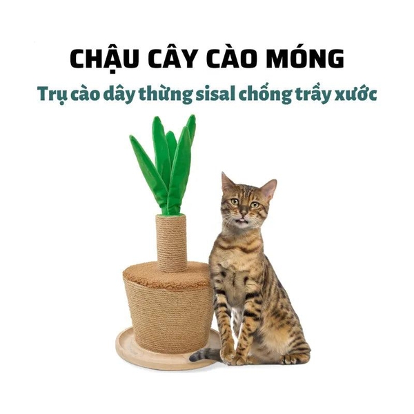 Trụ Cào Móng Mèo Fofos Hình Chậu Cây