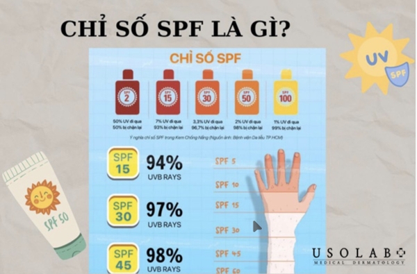 Giải Mã Chỉ Số Chống Tia UVB: SPF (Sun Protection Factor)