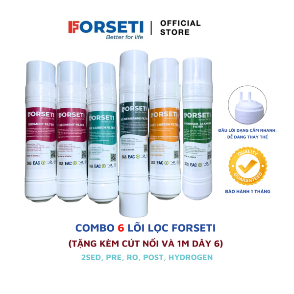 Combo 6 lõi lọc nước Forseti đúc nguyên khối nhập khẩu Hàn Quốc (2sed+pre+RO+post+hydrogen)
