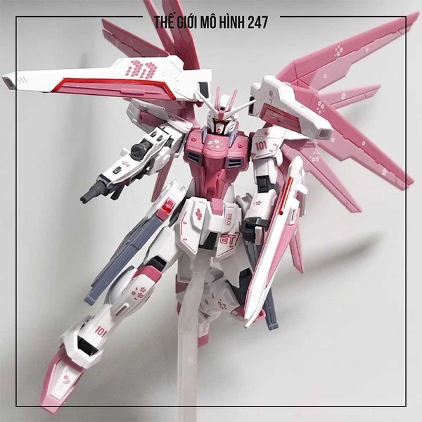 MÔ HÌNH LẮP RÁP FREEDOM SAKURA JMS (KÈM ĐẾ + DECAL NƯỚC)
