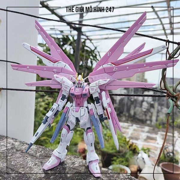 MÔ HÌNH LẮP RÁP FREEDOM SAKURA JMS (KÈM ĐẾ + DECAL NƯỚC)