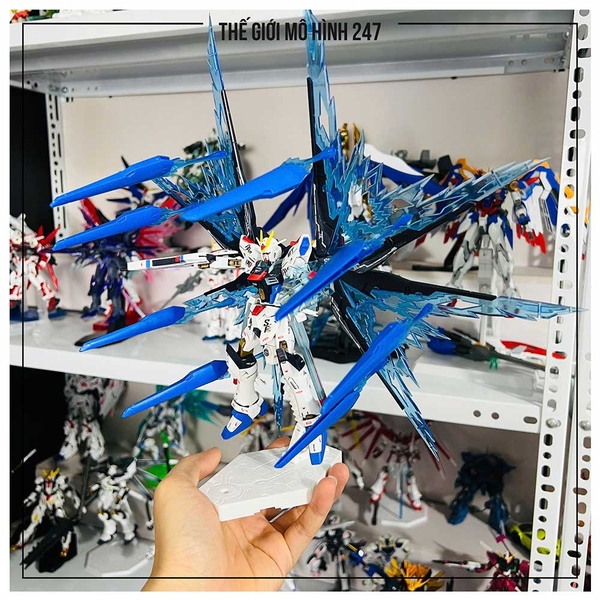 MÔ HÌNH LẮP RÁP HG CE 201 STRIKE FREEDOM FIGHTER + WING (KÈM ĐẾ + DECAL NƯỚC + EFFECT CÁNH)