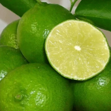 Chanh Không Hạt Cao Lãnh (Đồng Tháp) – Vỏ Mỏng, Mọng Nước, Thơm Lừng