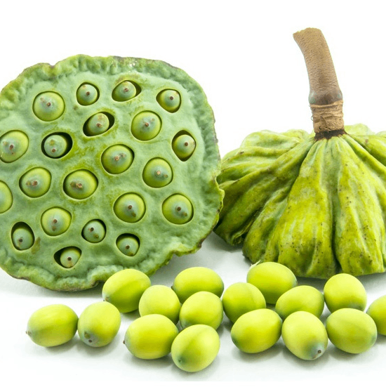 Đài Sen Tươi (Gương Sen) Đồng Tháp – Hạt Giòn Ngọt, Thanh Mát, Hái Giao Trong Ngày