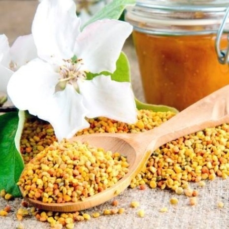 Phấn Hoa Thiên Nhiên