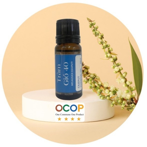 Tinh Dầu Tràm Gió (OCOP 3 sao)