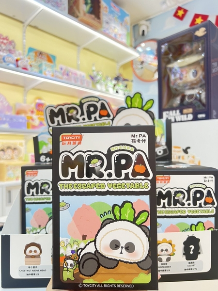 ĐỒ CHƠI HỘP MÙ MR.PA The Escaped Vegetables Plush Series