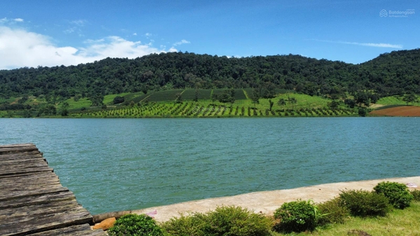 Mua bán đất Bảo Lộc tại hồ Ngọc Lộc Tân