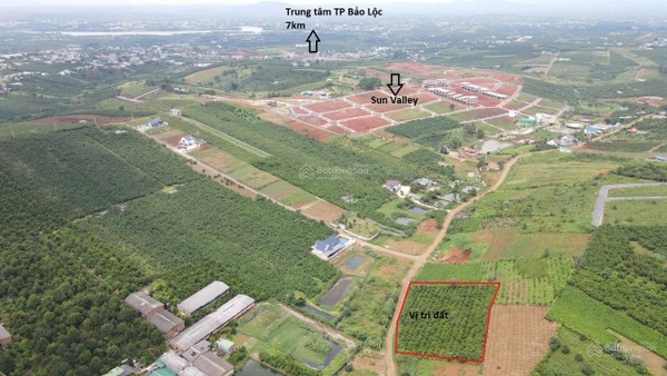 Mua bán đất Bảo Lộc đường Tản Đà view đẹp