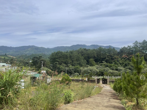 Mua bán đất Bảo Lộc view nghỉ dưỡng giá tốt