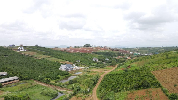 Mua bán đất Bảo Lộc đường Tản Đà view đẹp