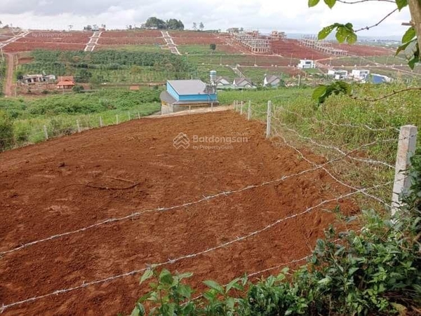 Mua bán đất Bảo Lộc đường Tản Đà giá tốt