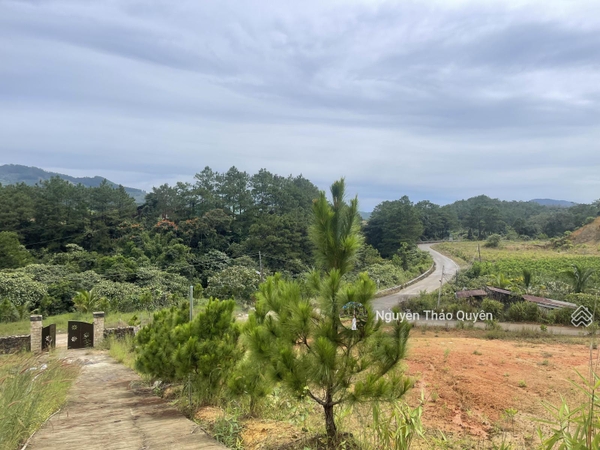 Mua bán đất Bảo Lộc view nghỉ dưỡng giá tốt