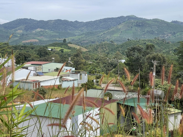 Mua bán đất Bảo Lộc view nghỉ dưỡng giá tốt