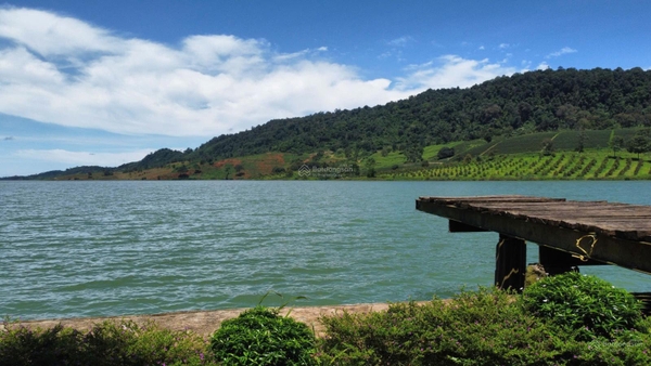 Mua bán đất Bảo Lộc tại hồ Ngọc Lộc Tân