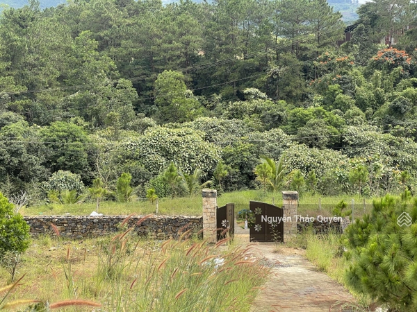 Mua bán đất Bảo Lộc view nghỉ dưỡng giá tốt