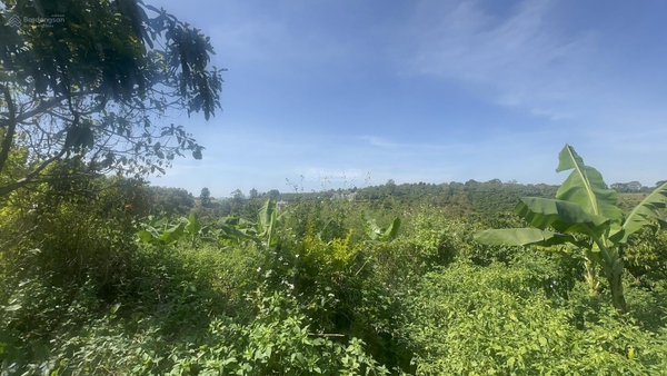 Mua bán đất Bảo Lộc sẵn 200m2 thổ cư