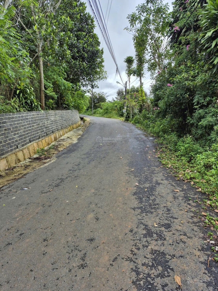 Mua đất Bảo Lộc mặt tiền Mạc Đĩnh Chi giá tốt