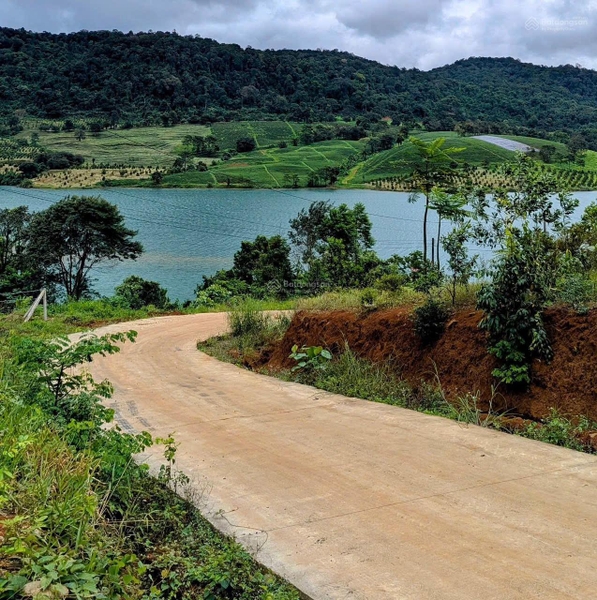 Mua bán đất Bảo Lộc xã Đam Đri cắt lỗ