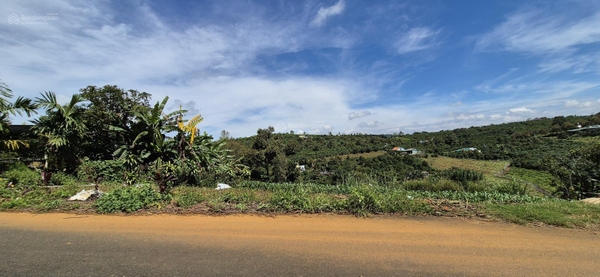 Mua bán đất Bảo Lộc đường Lý Thái Tổ