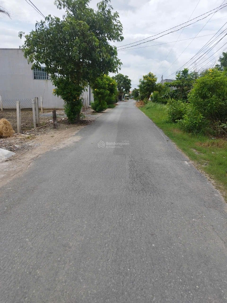 Mua bán đất Cần Giuộc Long An tại Mỹ Lộc