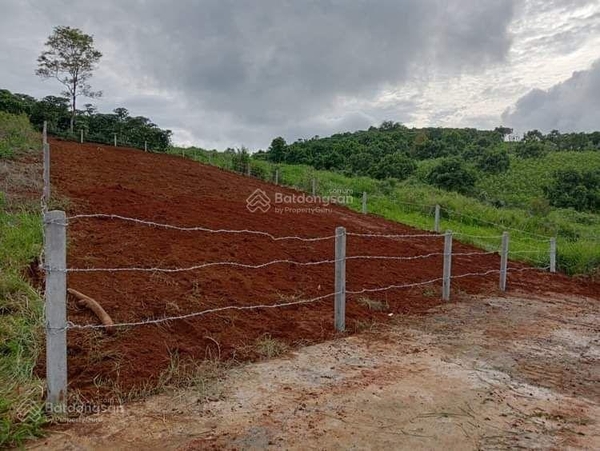 Mua bán đất Bảo Lộc đường Tản Đà giá tốt