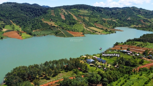 Mua bán đất Bảo Lộc tại hồ Ngọc Lộc Tân