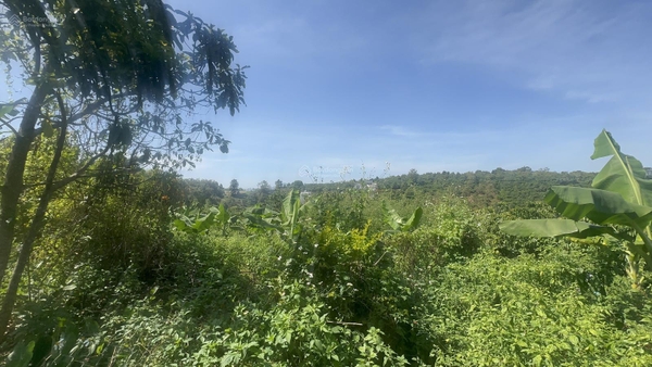 Mua bán đất Bảo Lộc sẵn 200m2 thổ cư