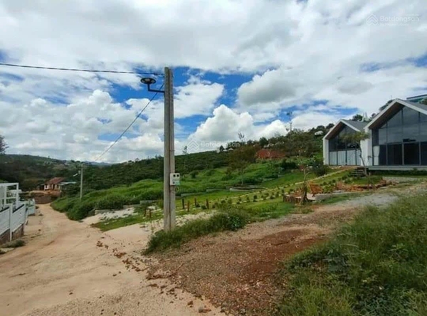 Mua bán đất Bảo Lộc đường Lý Thái Tổ