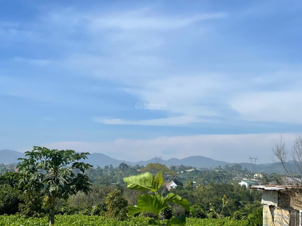 Mua bán đất Bảo Lộc đường Lê Lai mặt tiền giá ngộp