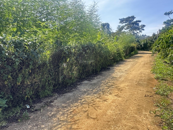 Mua bán đất Bảo Lộc sẵn 200m2 thổ cư