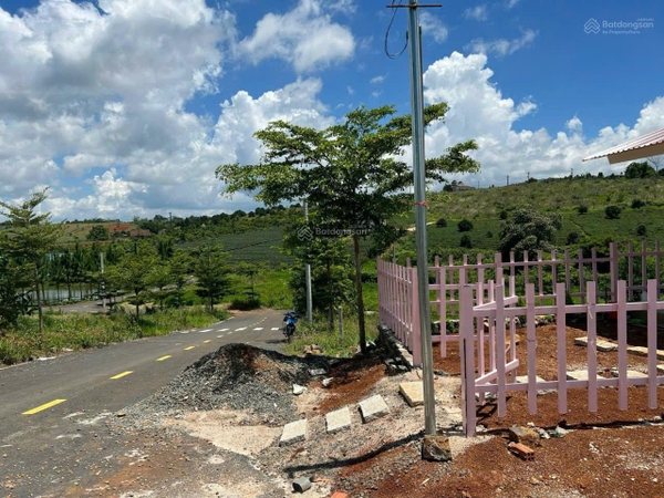 Mua đất Bảo Lộc phường 2 đất đẹp