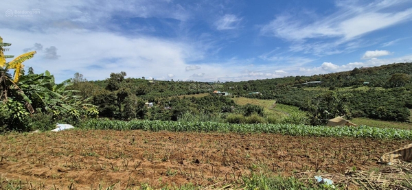 Mua bán đất Bảo Lộc đường Lý Thái Tổ