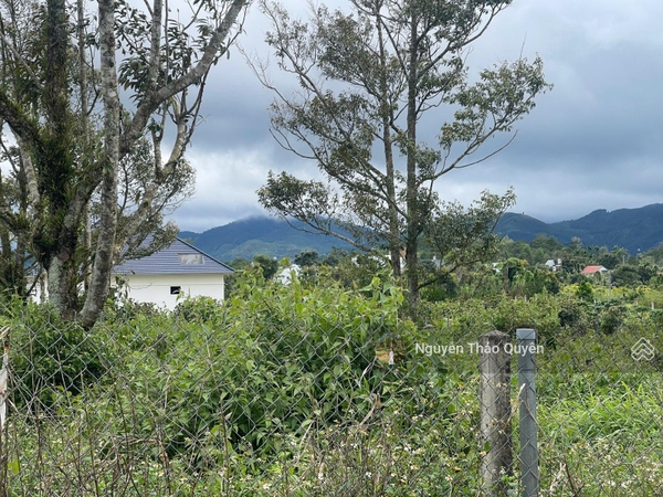 Mua bán đất Bảo Lộc đường Lê Thị Riêng sẵn 200m2