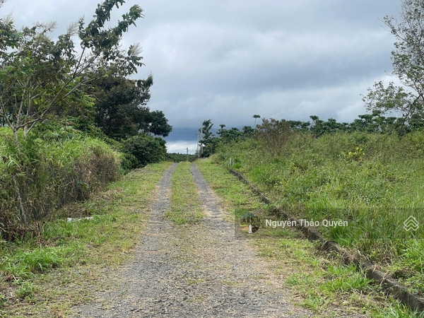 Mua bán đất Bảo Lộc đường Lê Thị Riêng sẵn 200m2