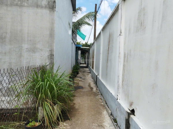 Mua bán đất Cần Giuộc Long An tại Mỹ Lộc