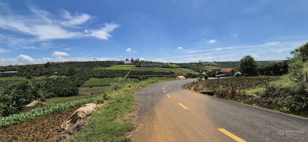 Mua bán đất Bảo Lộc đường Lý Thái Tổ