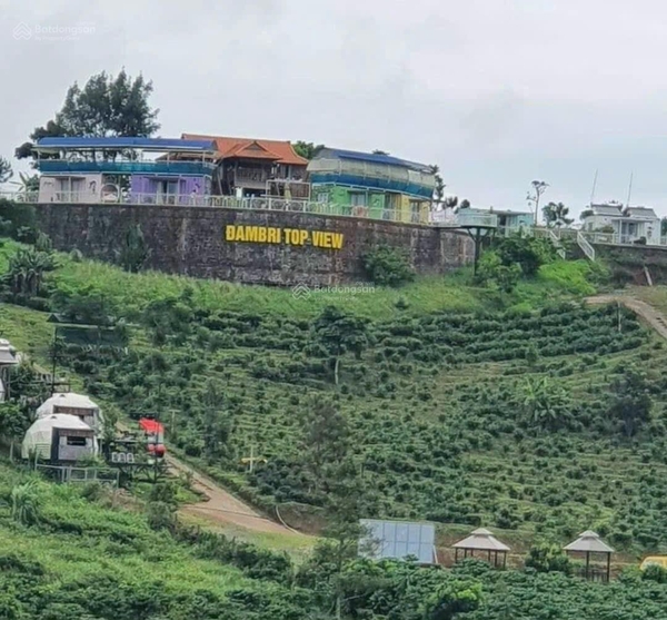 Mua bán đất Bảo Lộc đường Lý Thái Tổ