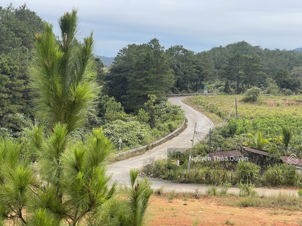 Mua bán đất Bảo Lộc view nghỉ dưỡng giá tốt