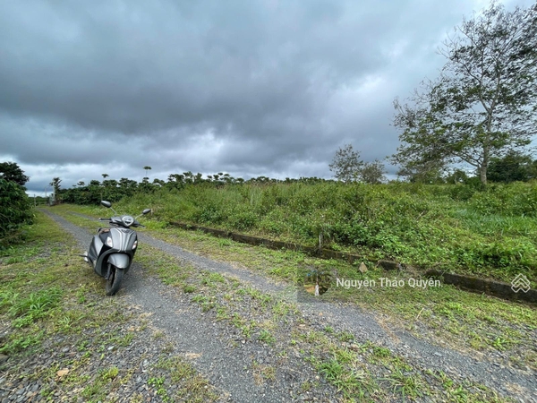 Mua bán đất Bảo Lộc đường Lê Thị Riêng sẵn 200m2