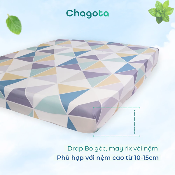 Bộ drap iceMint