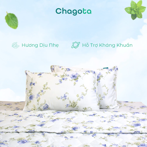 Bộ drap iceMint