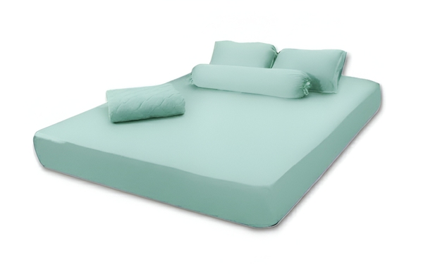 Bộ thun Xanh Matcha 1m8