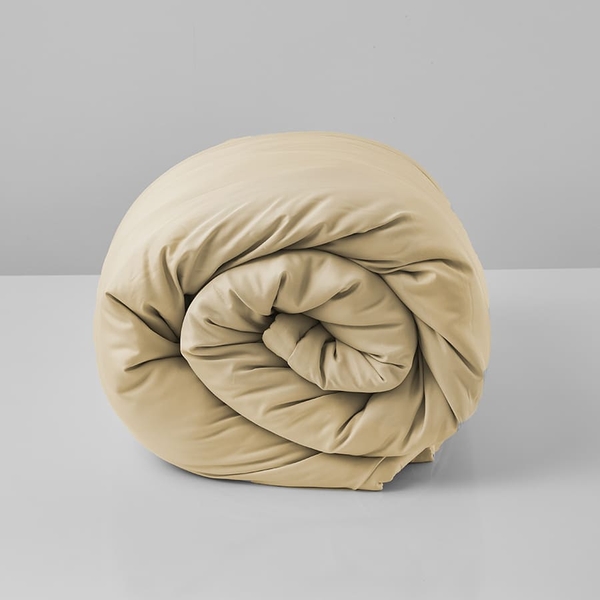Bộ Chăn Ga Gối Vàng Ấm Áp Chagota Bedding Mềm Mịn, Mát Lạnh Cao Cấp Thoáng Mát Cho Gia Đình Bạn 2m2