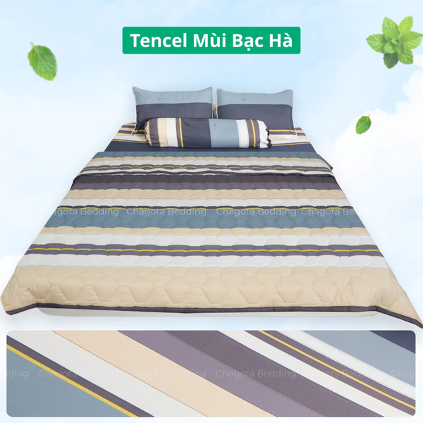 Bộ Chăn Ga Gối Ice Mint BH37 Hương Bạc Hà Đặc Trưng, Kháng Khuẩn Nhiều Họa Tiết 1m4